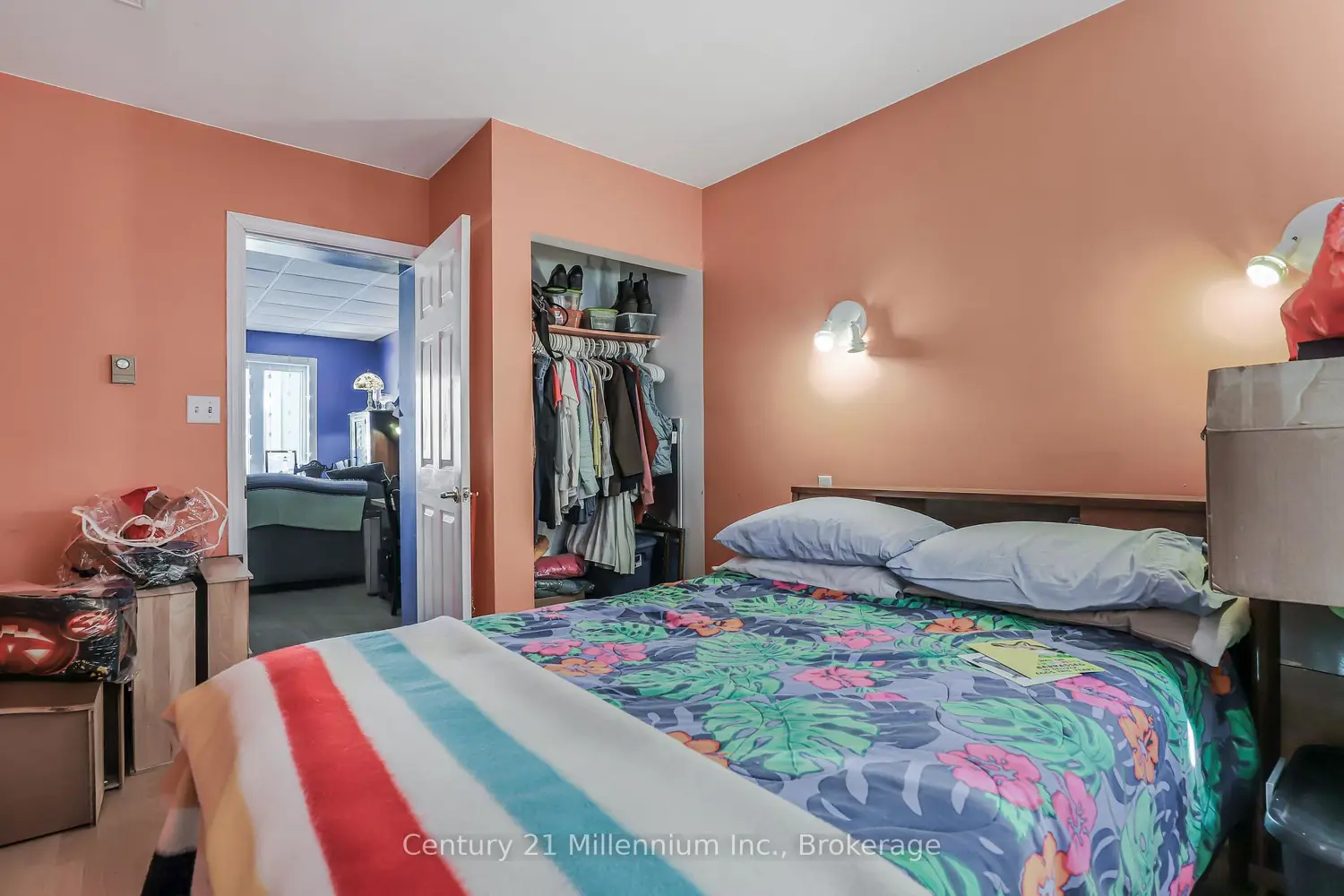 Additional image 13 of 228 Palmerston Street