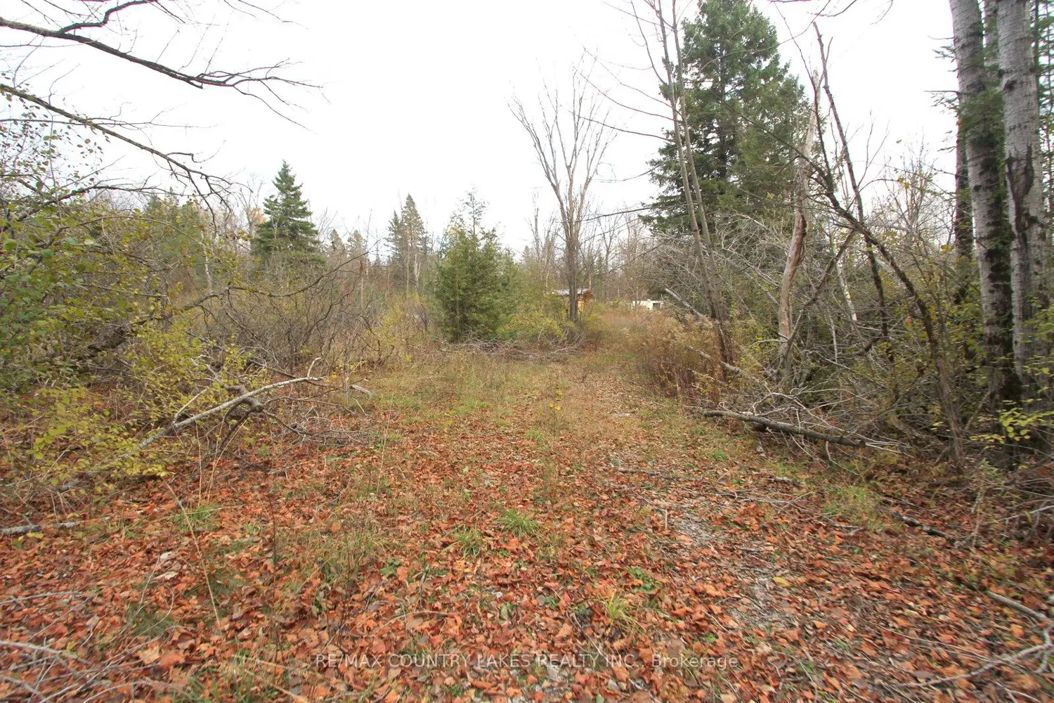 Additional image 18 of Lt3 Ramblewood Trail