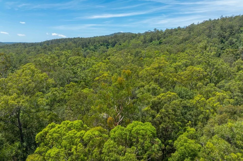 Additional image 11 of 384 Eastern Boundary Road, Rollands Plains NSW 2441