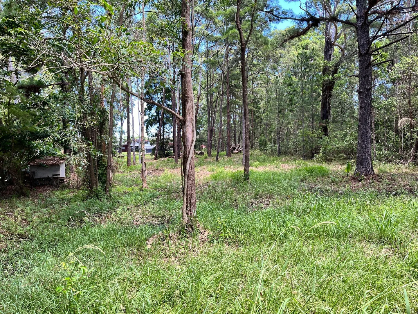 Additional image 3 of 14 Hawthornden Dr, Russell Island QLD 4184