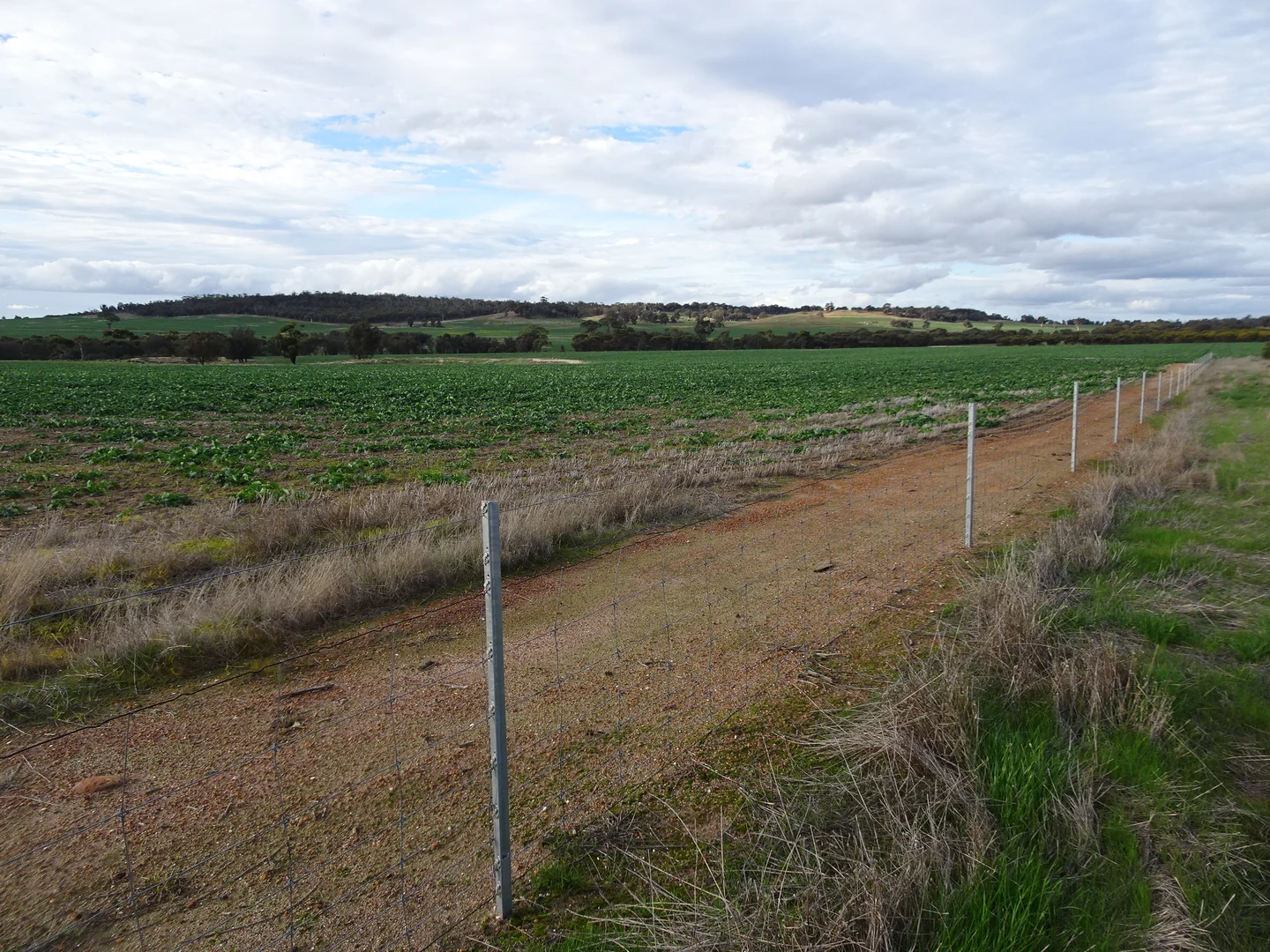Additional image 10 of Grout Road, Cuballing WA 6311