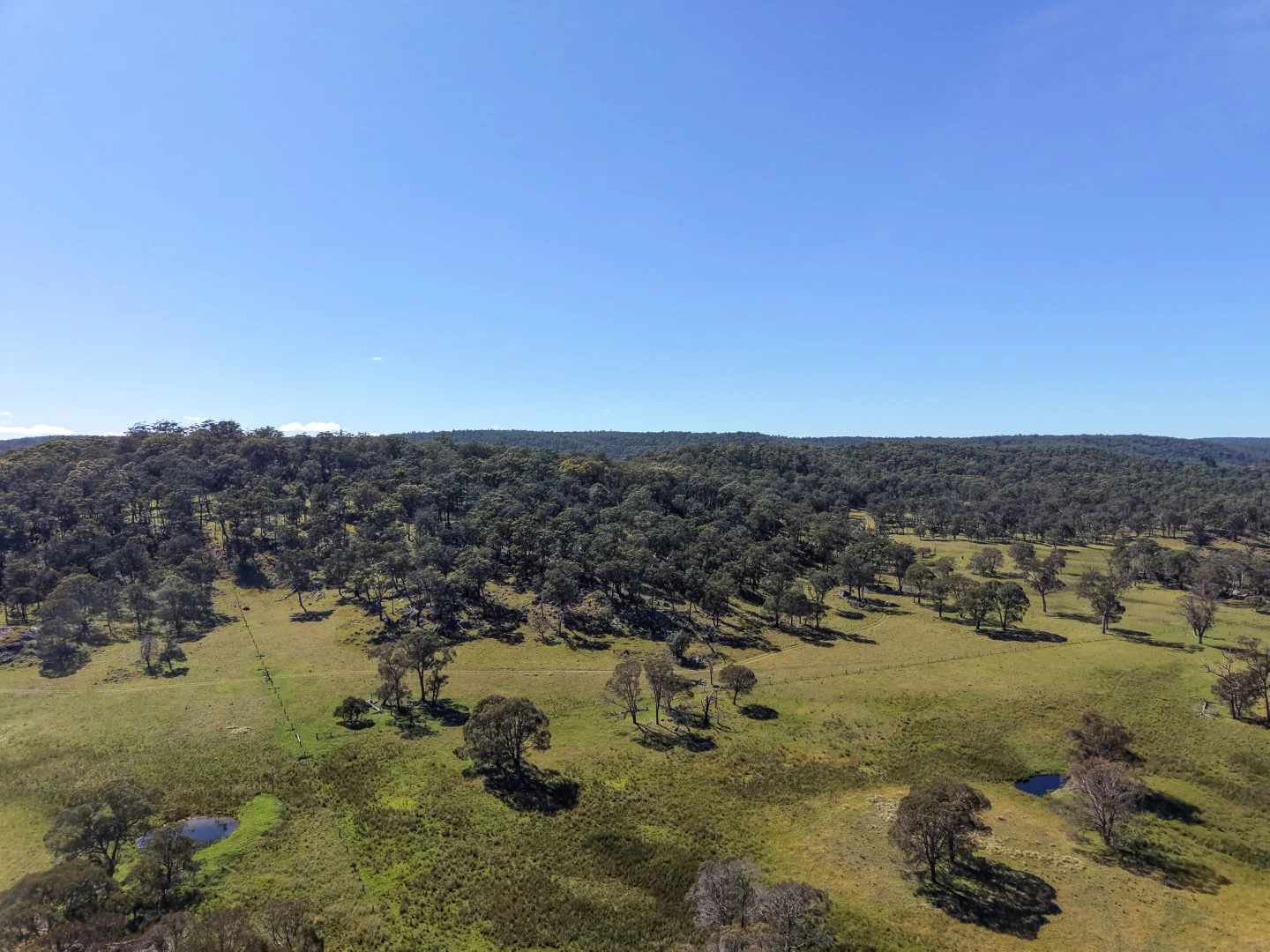 Additional image 24 of 2153 Mount Lindesay Road, Tenterfield NSW 2372