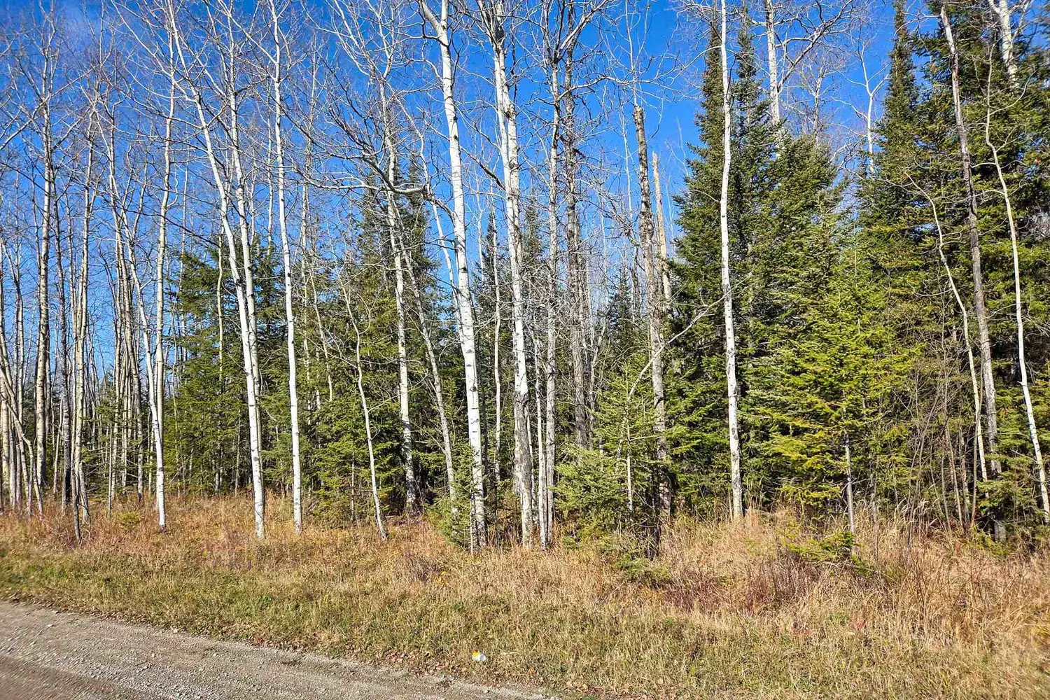 Additional image 4 of Pt 4 Cabin Road