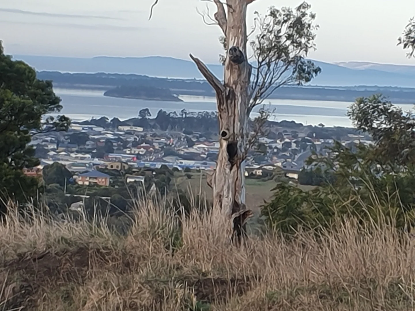 Additional image 3 of 19 Jeannie Drive, Sorell TAS 7172