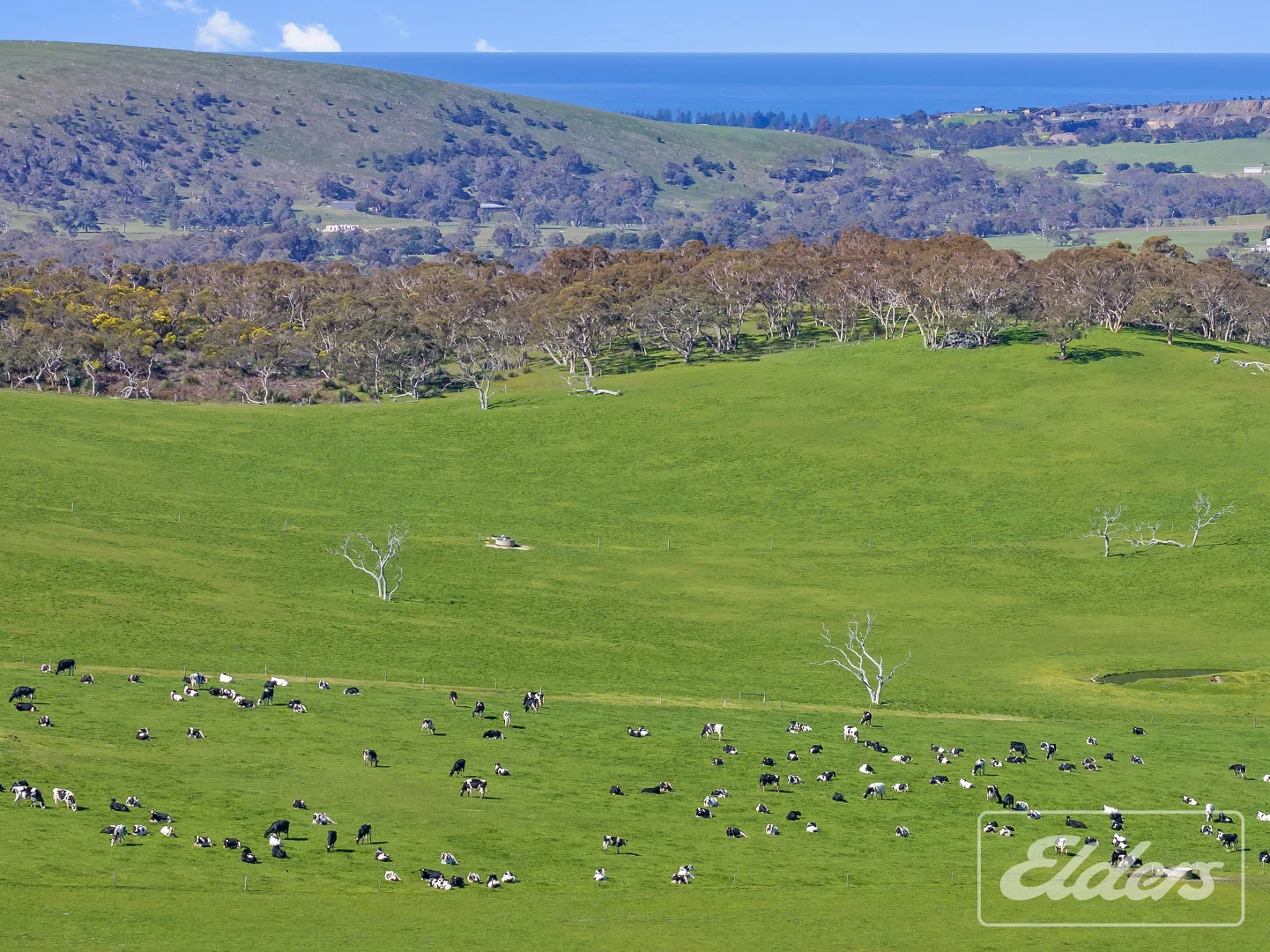 Additional image 19 of 101 Nottle Road, Lower Inman Valley SA 5211