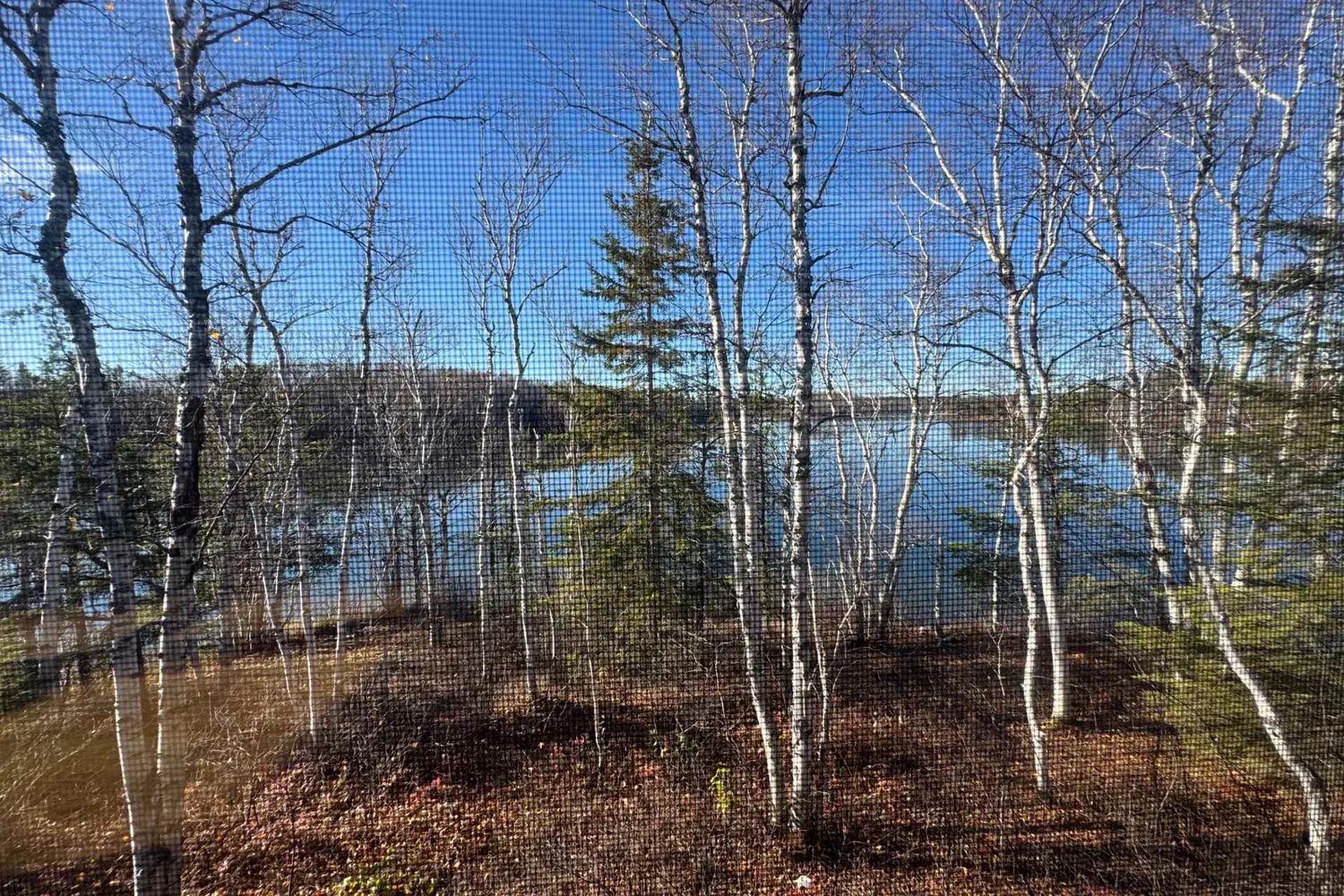 Additional image 13 of Lot 25 Munro Twp