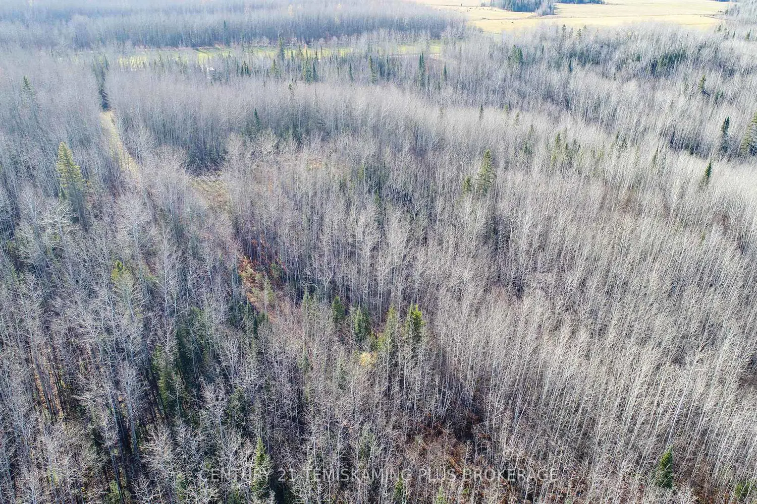 Additional image 16 of Pt 4 Cabin Road