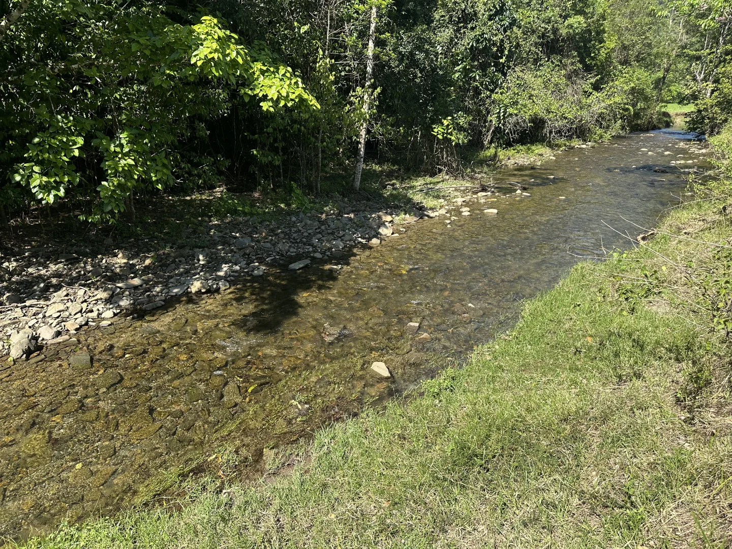 Additional image 17 of Japoonvale QLD 4856