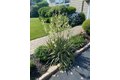 Additional image 5 of 8 Summit View Dr, Swampscott, MA, 01907