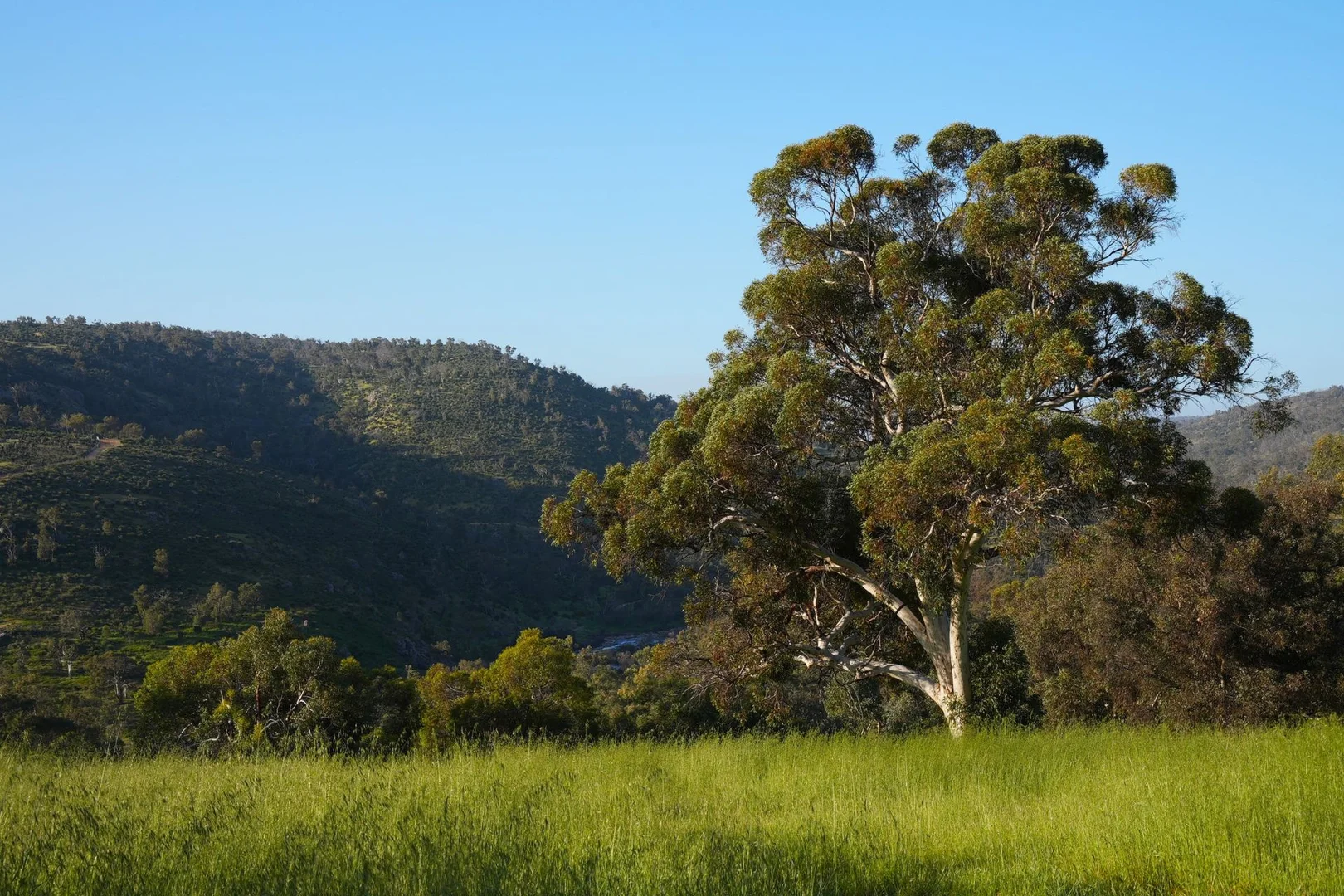 Additional image 5 of 839 Campersic Road, Brigadoon WA 6069