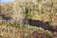Additional image 20 of High Moncur Farm, Kilwinning, North Ayrshire, KA13