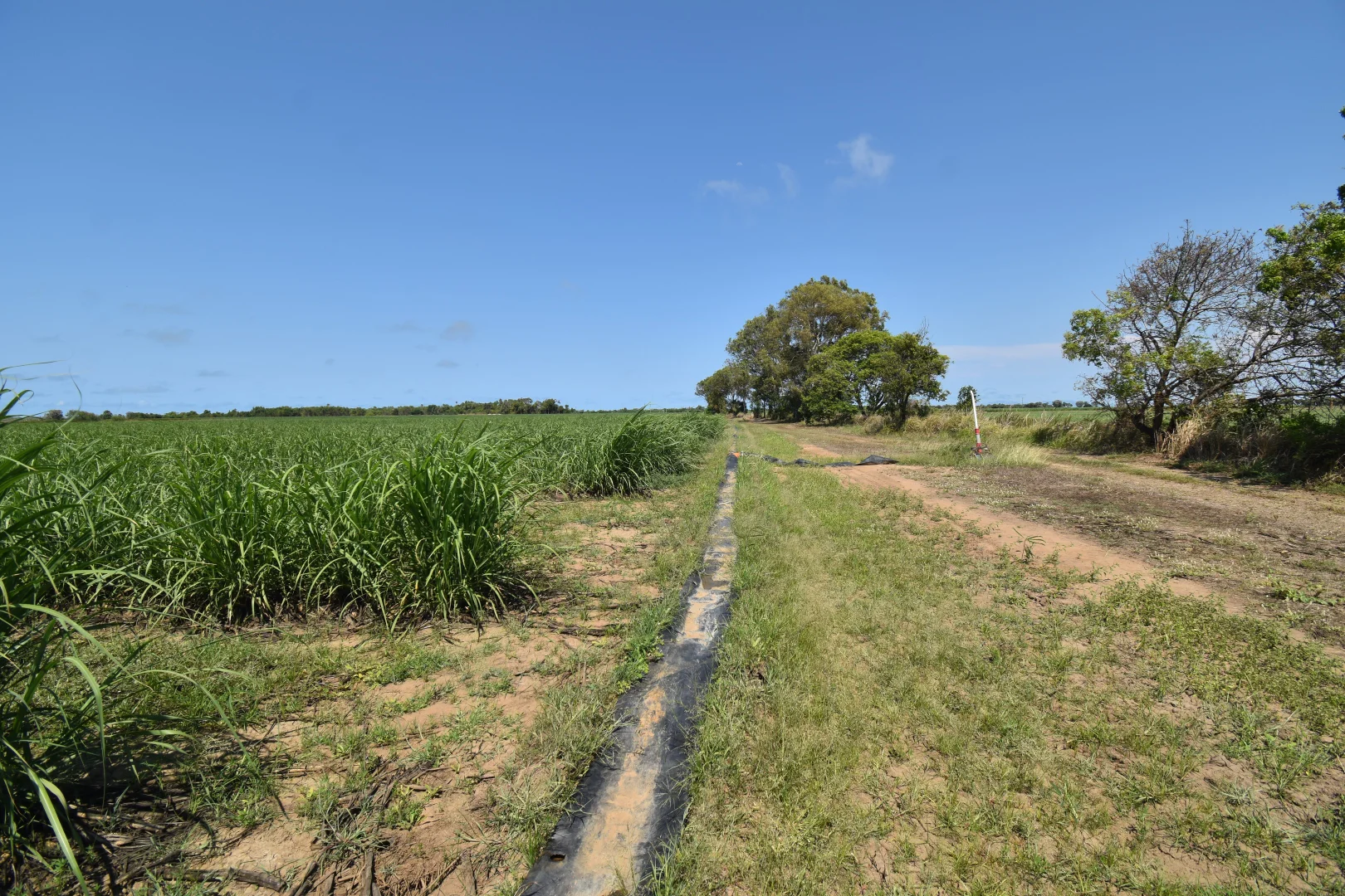 Additional image 3 of 505 Trent Road, Alva QLD 4807