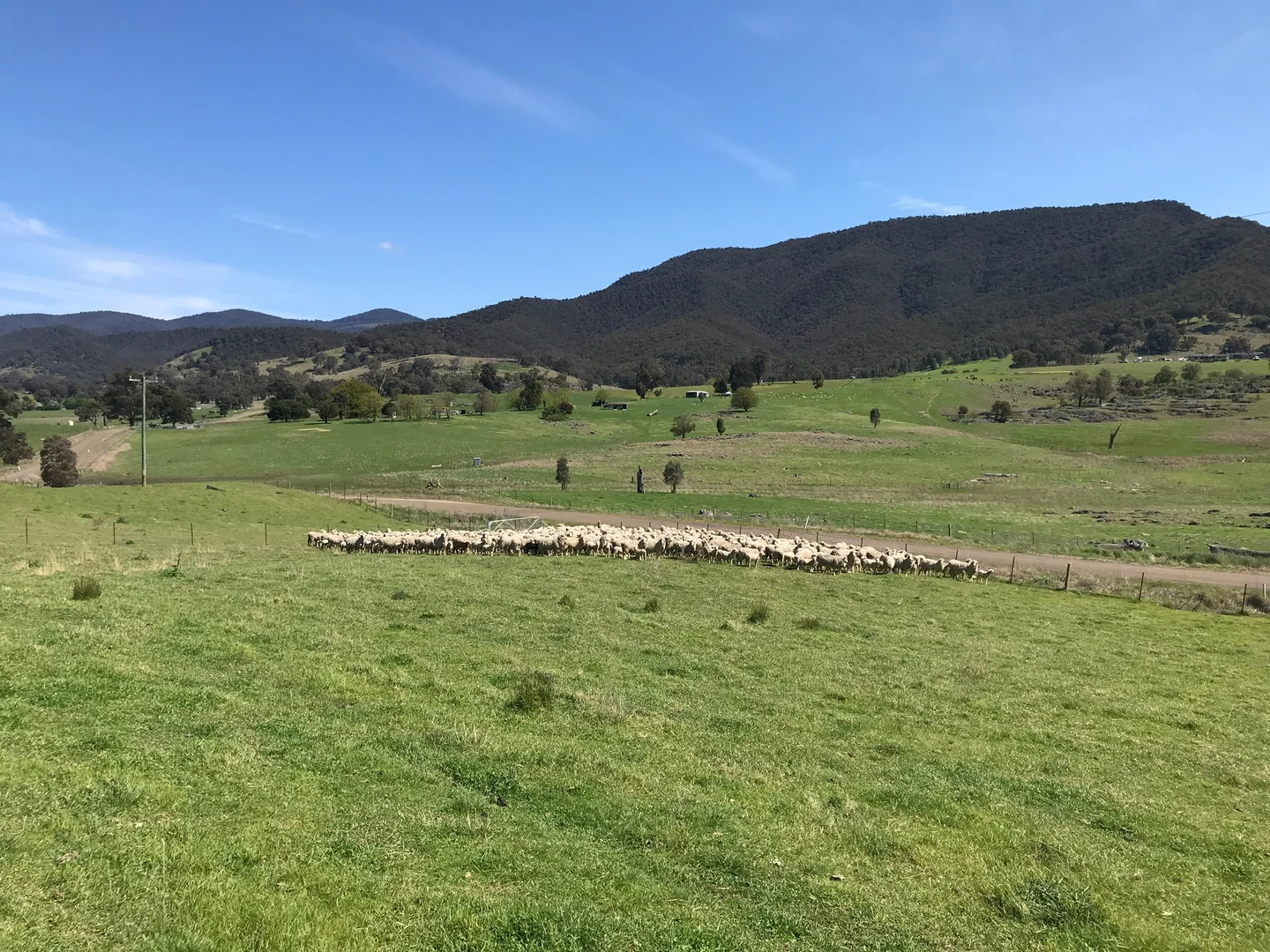 Additional image 29 of 245 Caves Road, Wee Jasper NSW 2582