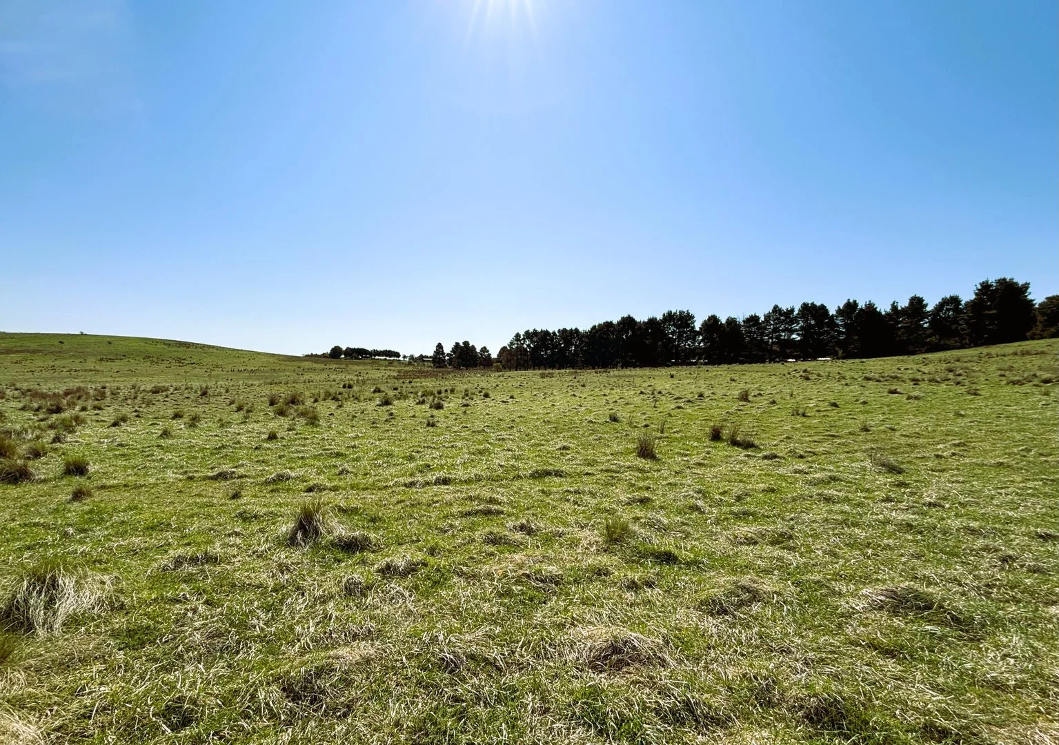 Additional image 4 of 539 Wirreanda Road, Wamboin NSW 2620