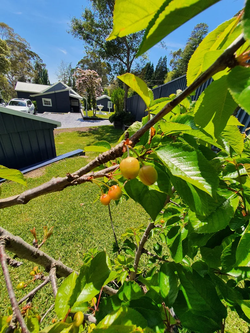 Additional image 16 of 17 Old Bowral Road, Bowral NSW 2576