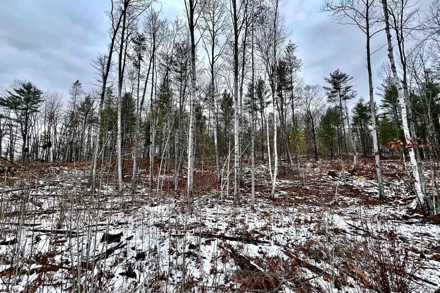 Additional image 13 of 744 Black Creek Road