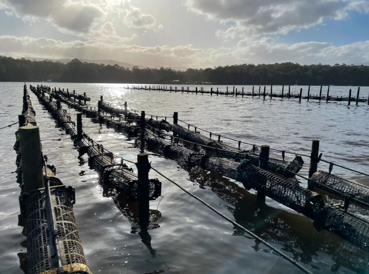 Additional image 3 of Tongue Road, Hastings TAS 7109