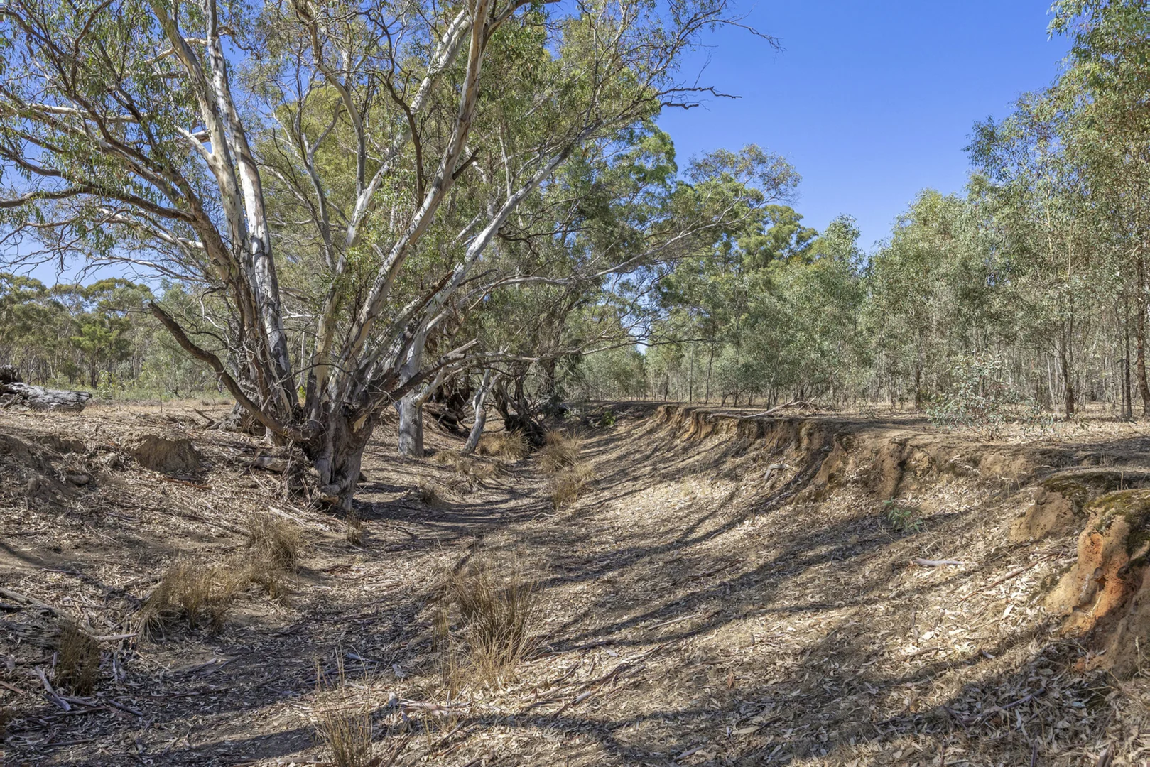 Additional image 6 of Lots 1 & 2 Quinns Road, Wellsford VIC 3551