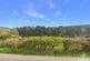 Additional image 24 of The Boarts, Lydbrook