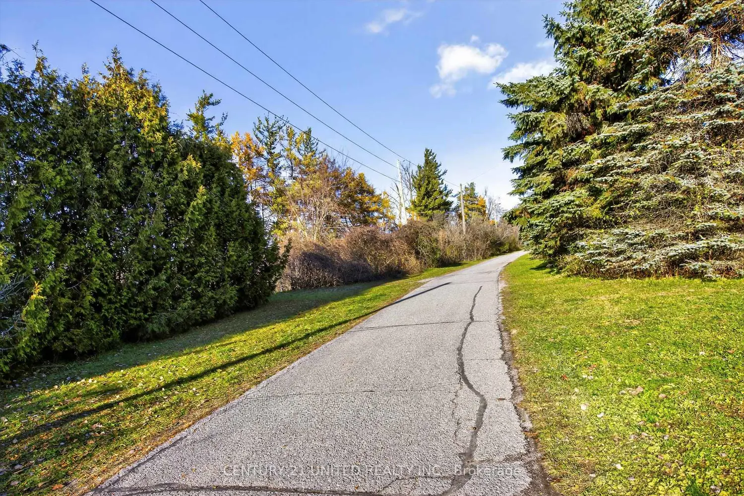 Additional image 19 of 1121 Armour Road 22