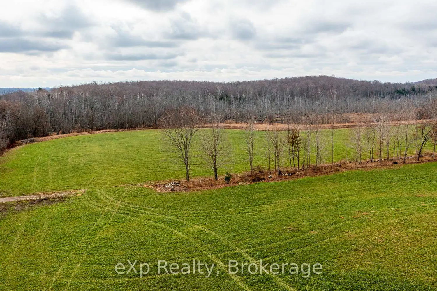 Additional image 17 of 83 C Line Road