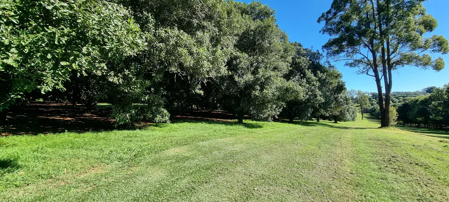 Additional image 9 of 161 Fletcher Road, Dunoon NSW 2480