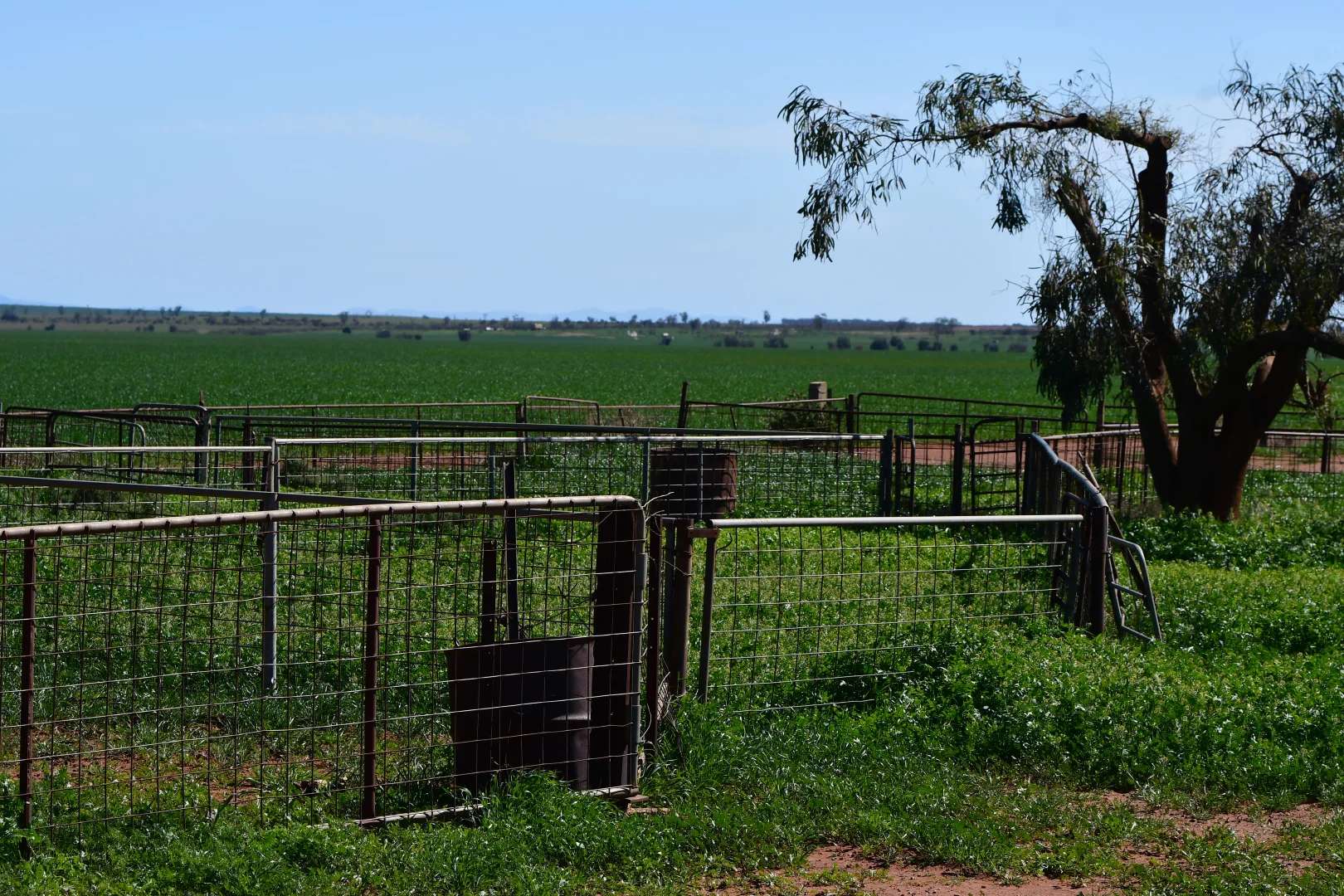 Additional image 9 of SECTION 121 Orroroo Road, Willowie SA 5431
