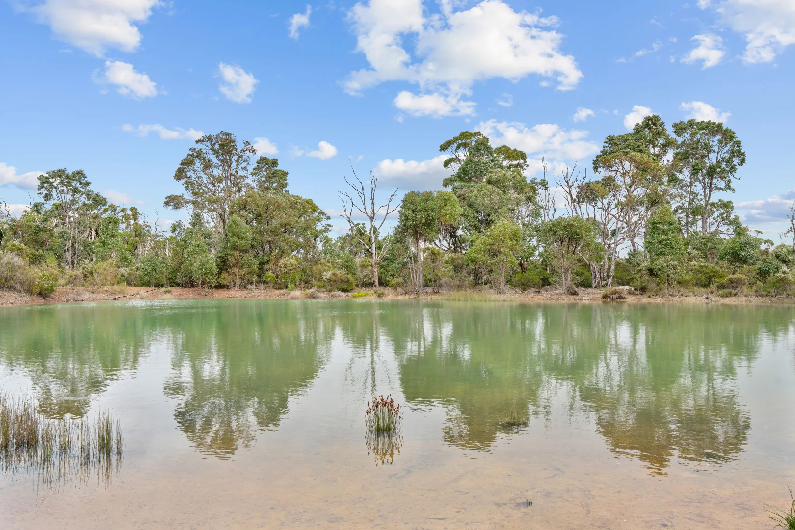 Additional image 14 of 701 Double Bridge Road, Northcliffe WA 6262