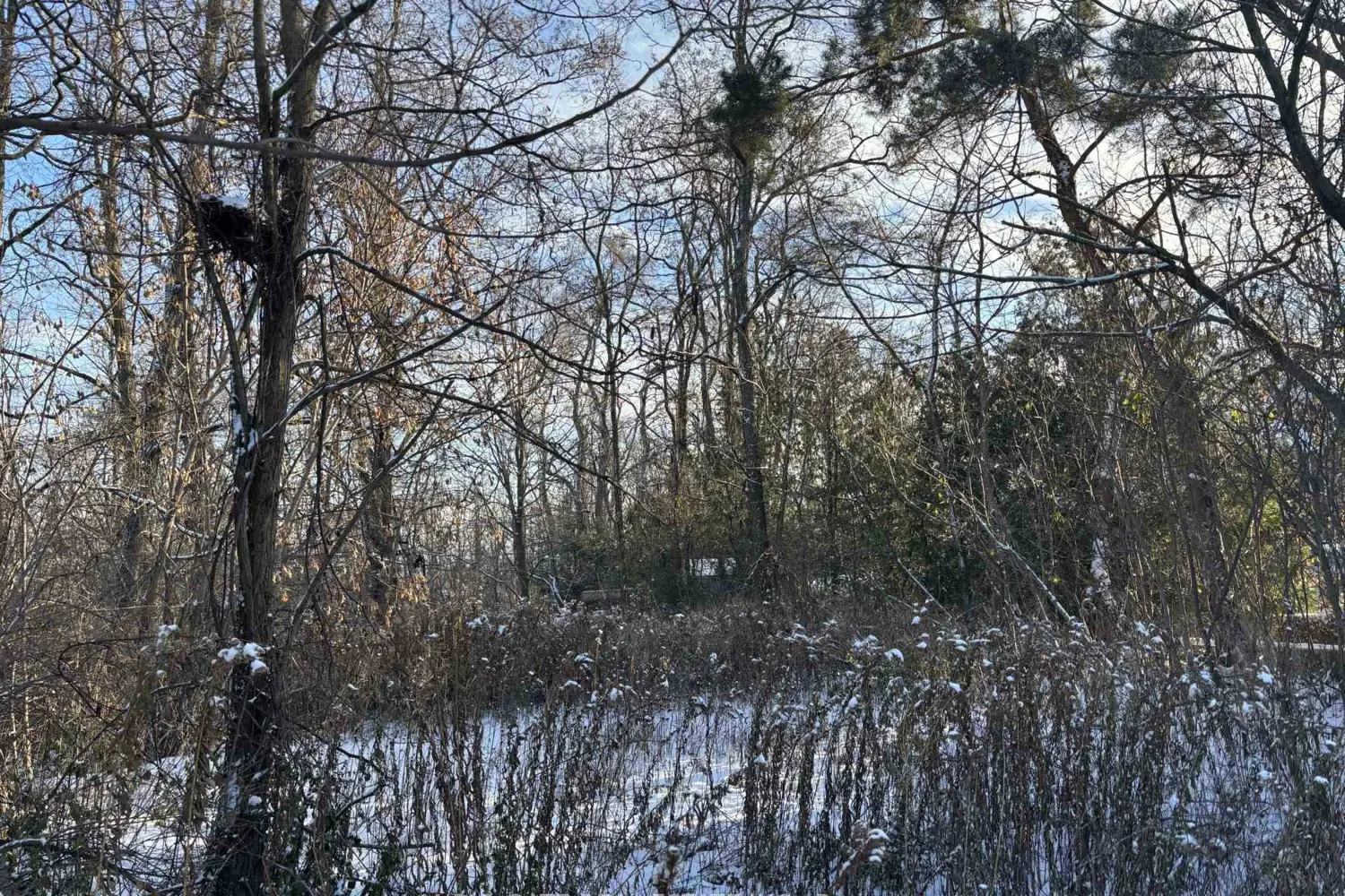 Additional image 5 of 00 Kelwood Lane