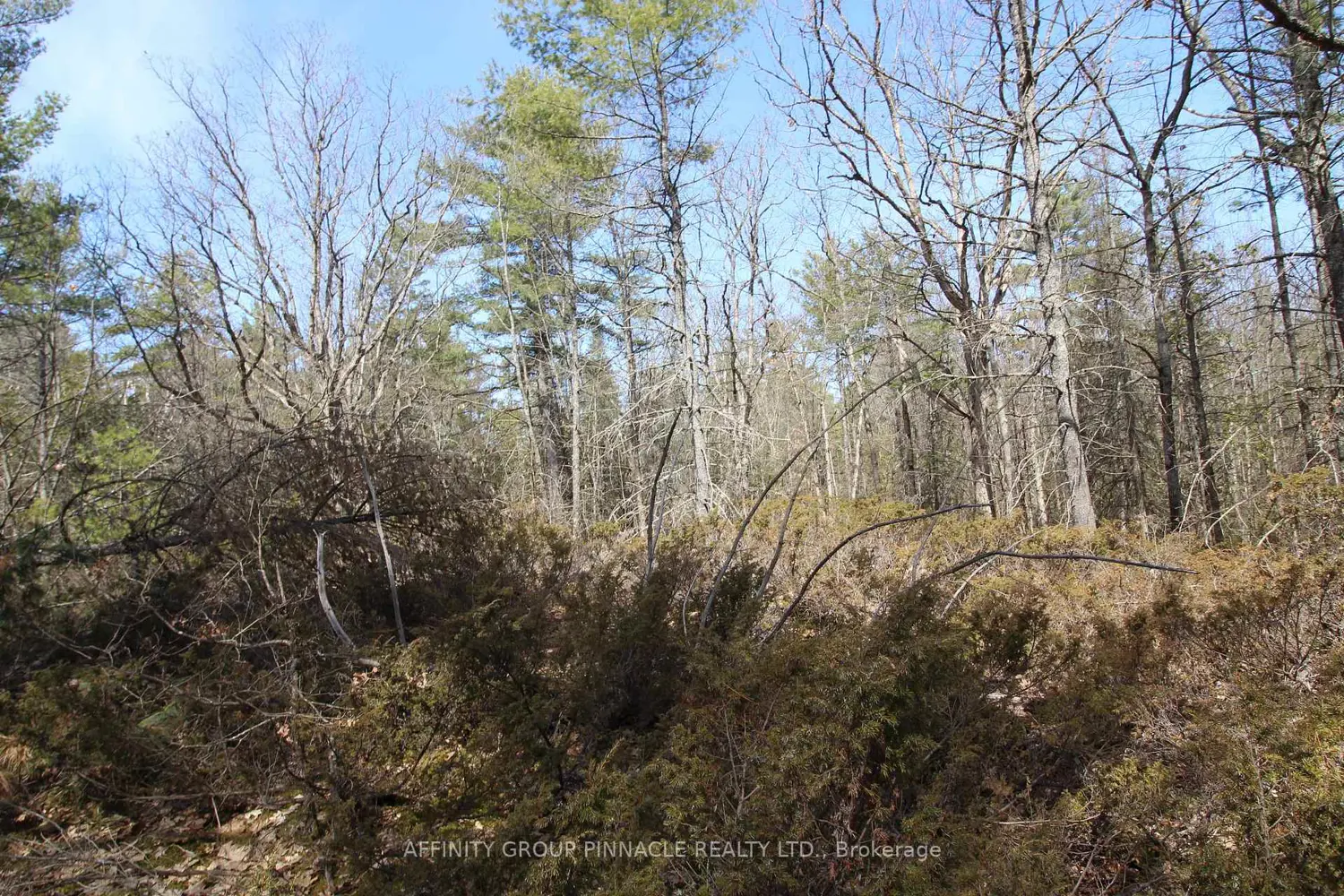 Additional image 15 of Lot 15 Concession 9