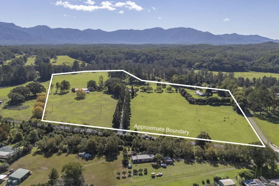 1596 Waterfall Way, Bellingen NSW 2454
