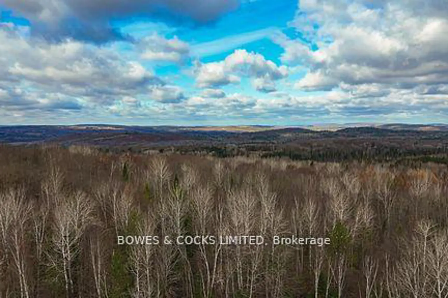Additional image 11 of 154 Little Ireland Road