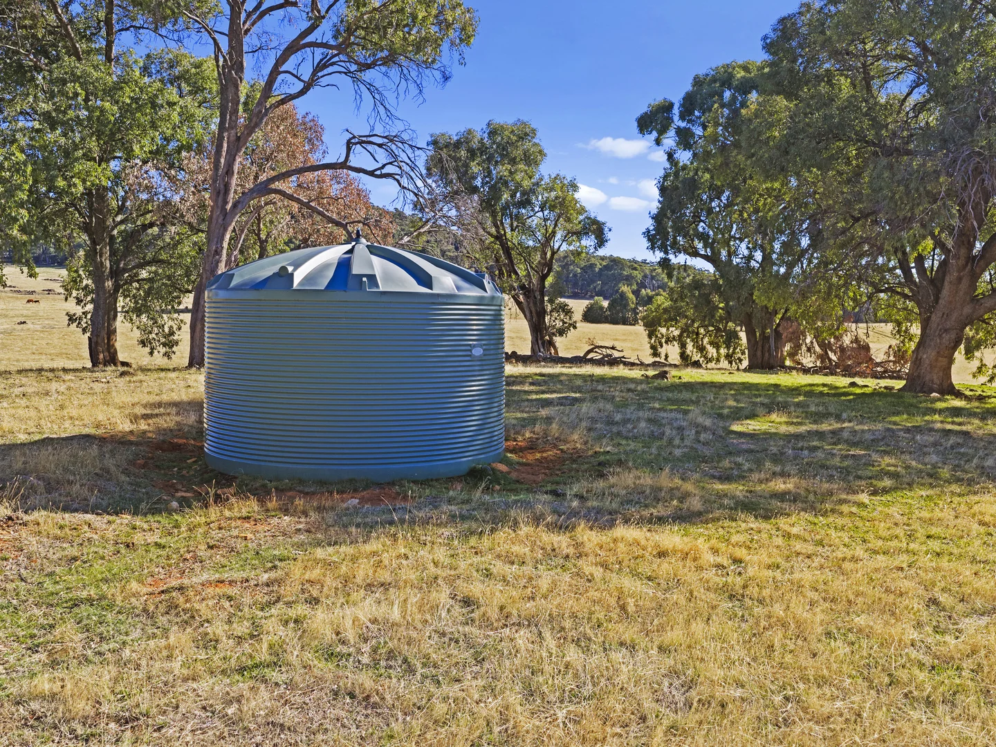 Additional image 5 of 592 Bonnie Doon Road, Boho South VIC 3669