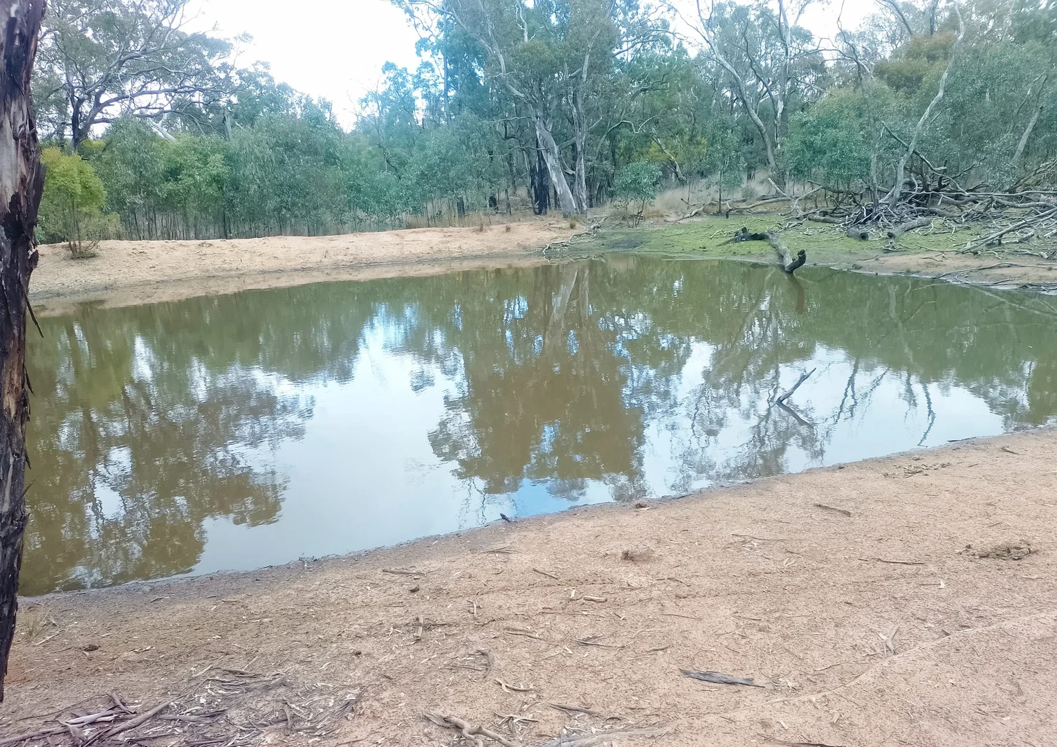 Additional image 5 of 22 Cainbill Road, Coolah NSW 2843