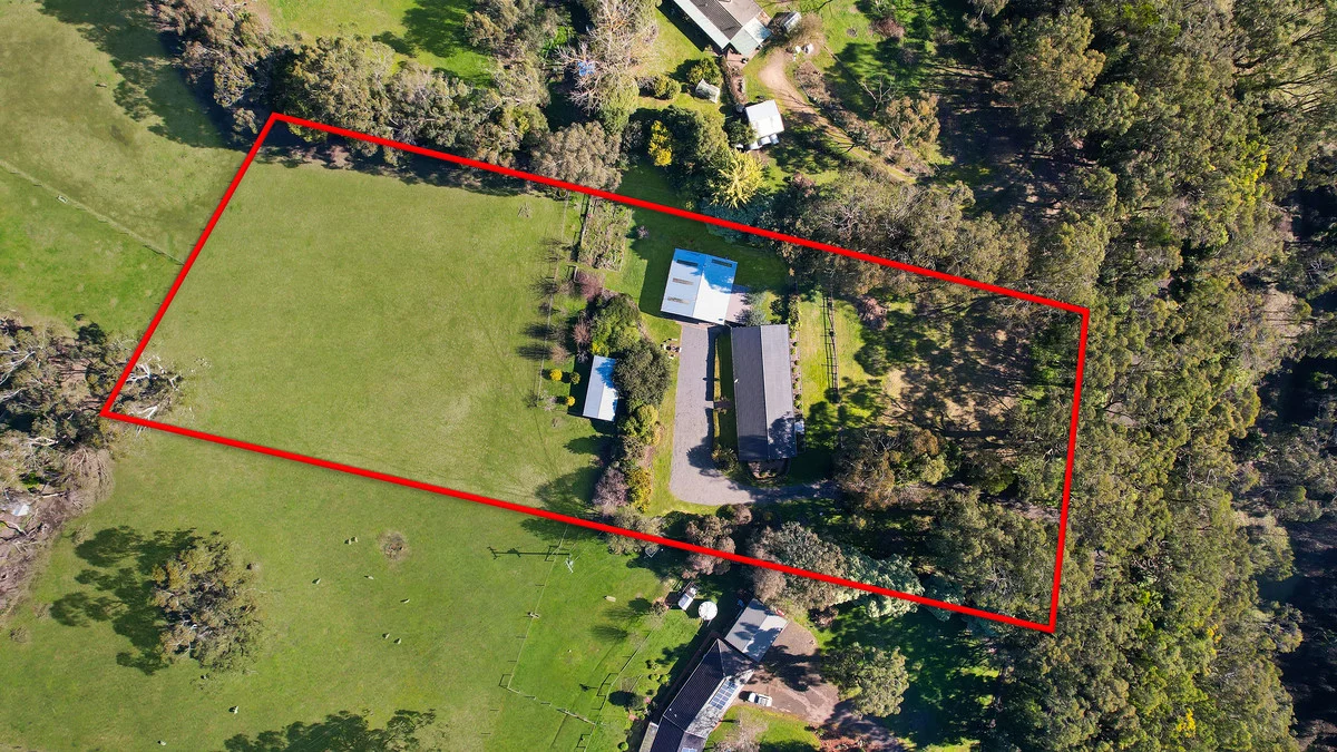 169 Timboon - Curdievale Road, Timboon VIC 3268