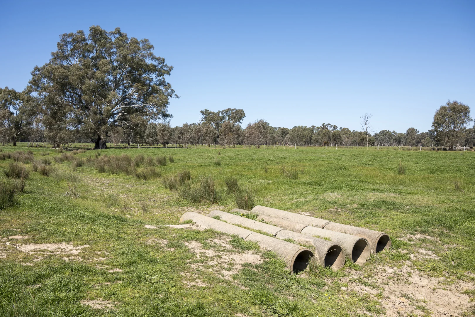 Additional image 13 of CA32 Baddaginnie-Benalla Road, Benalla VIC 3672