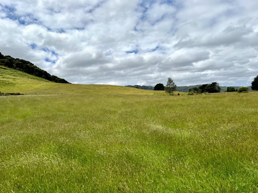 Additional image 5 of 29731 Tasman Highway, Weldborough TAS 7264