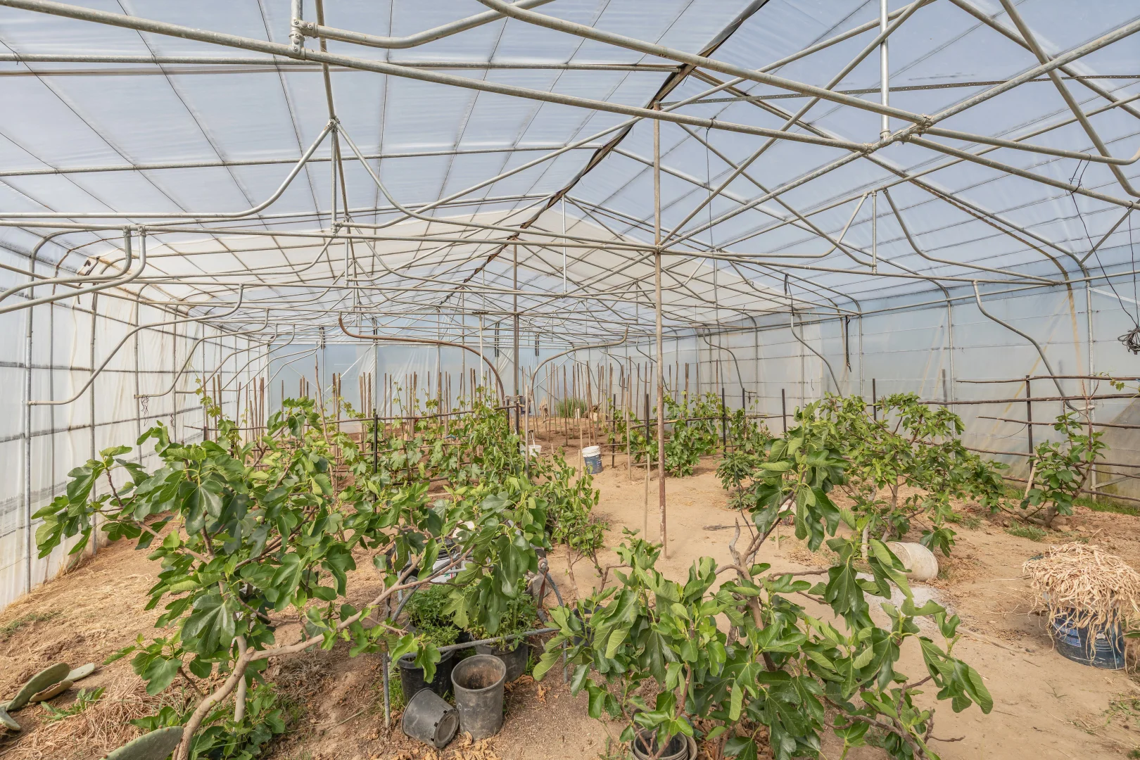 Additional image 18 of 199 Baileys Lane, Oberon NSW 2787