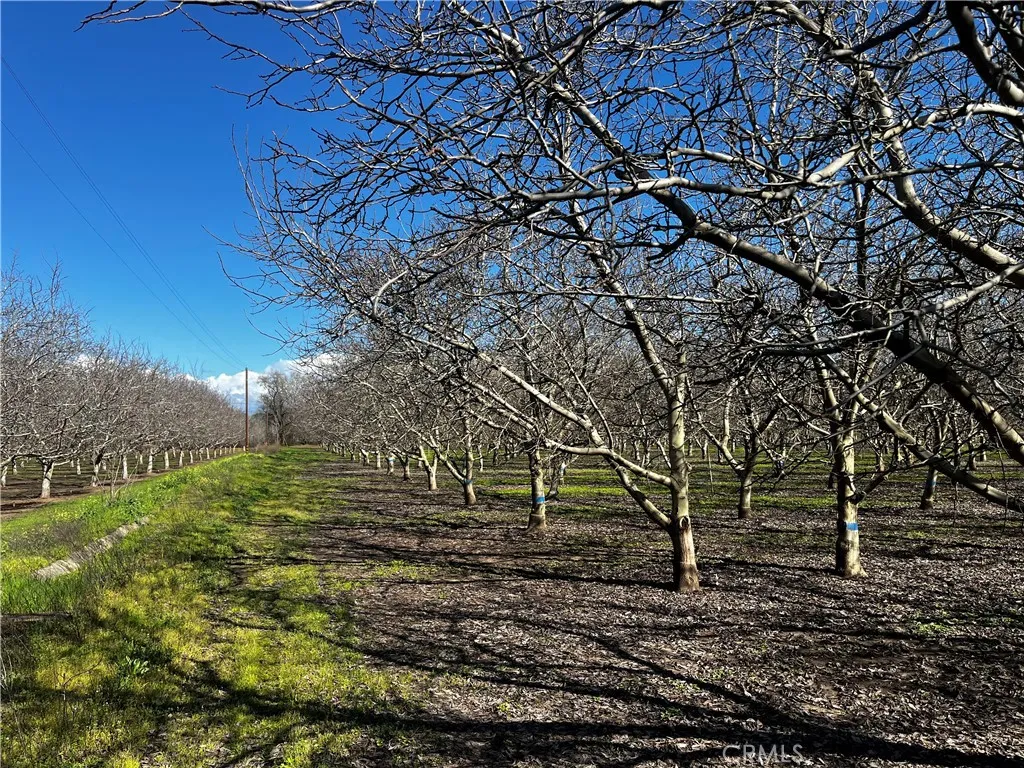 Additional image 27 of 3900 Stephens Road, Corning, CA 96021