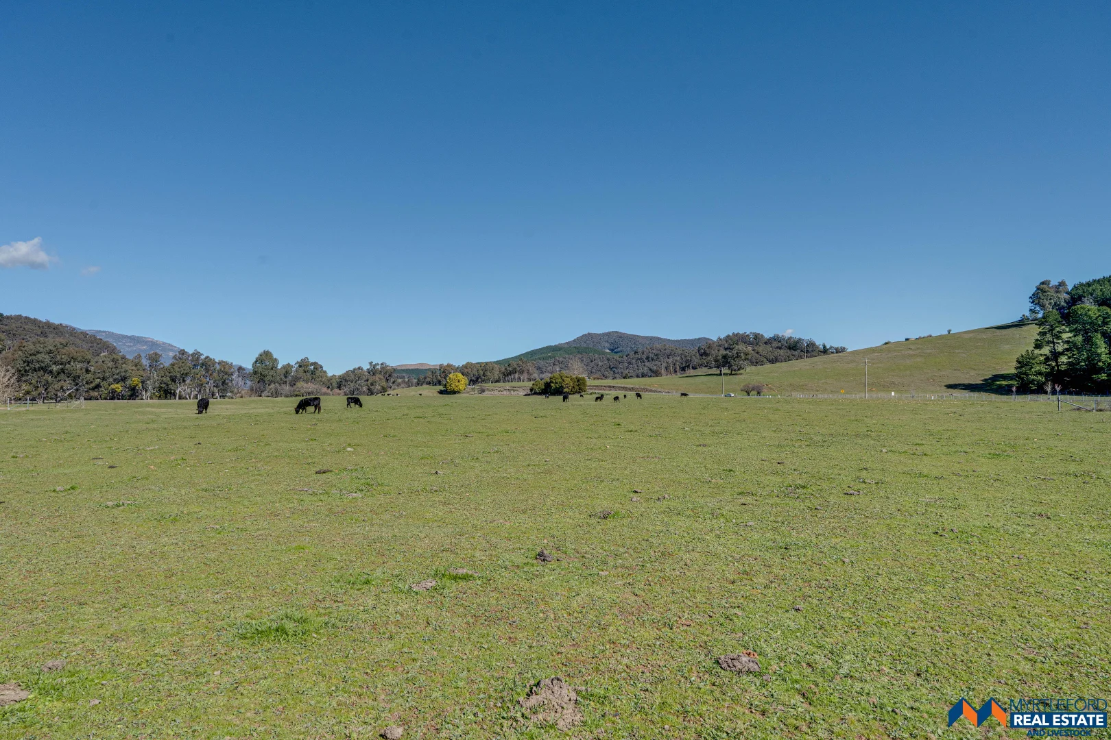 Additional image 4 of 367 Merriang South Road, Myrtleford VIC 3737