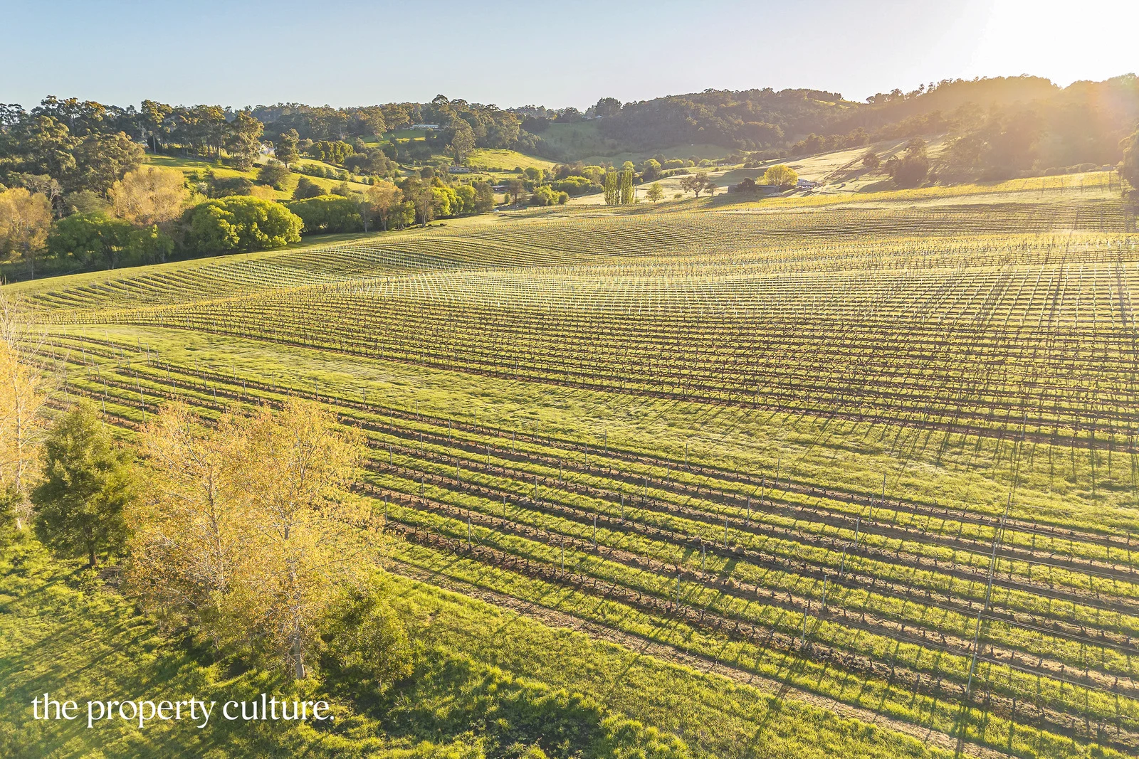 Additional image 21 of 42 Voss Rd, Glaziers Bay TAS 7109