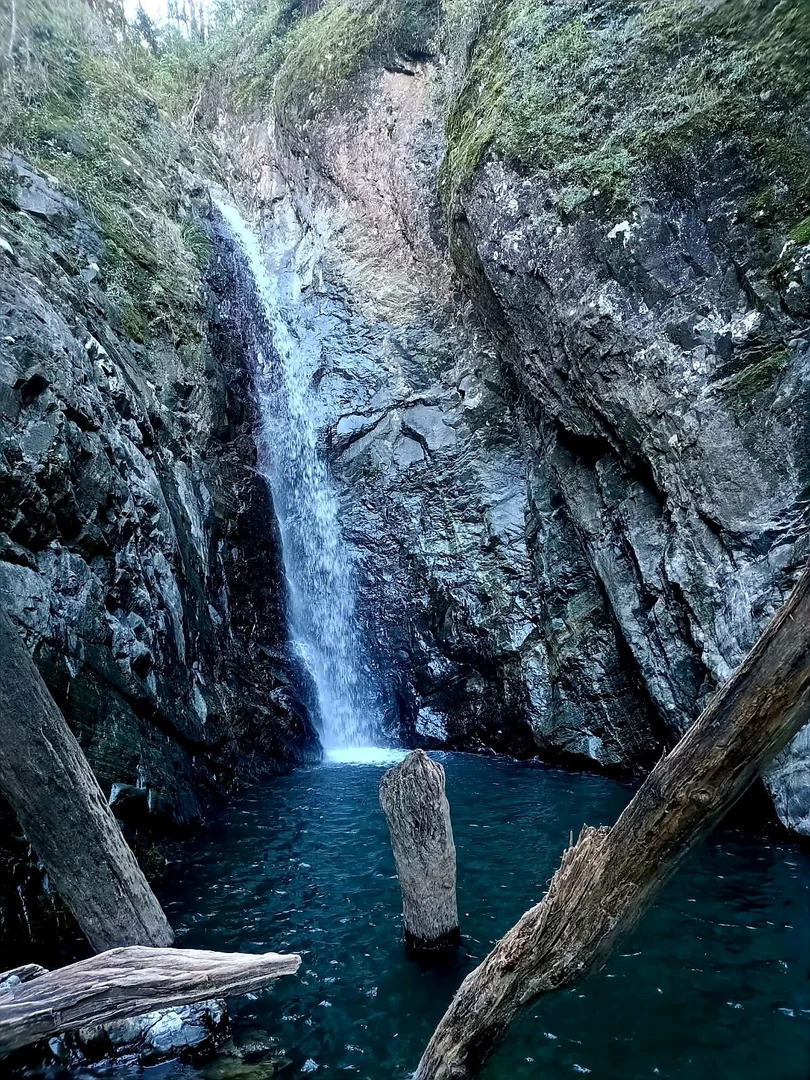 Additional image 33 of Bellangry NSW 2446