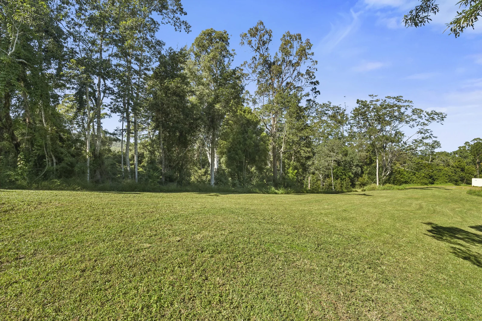 408 Bowraville Road, Bellingen NSW 2454