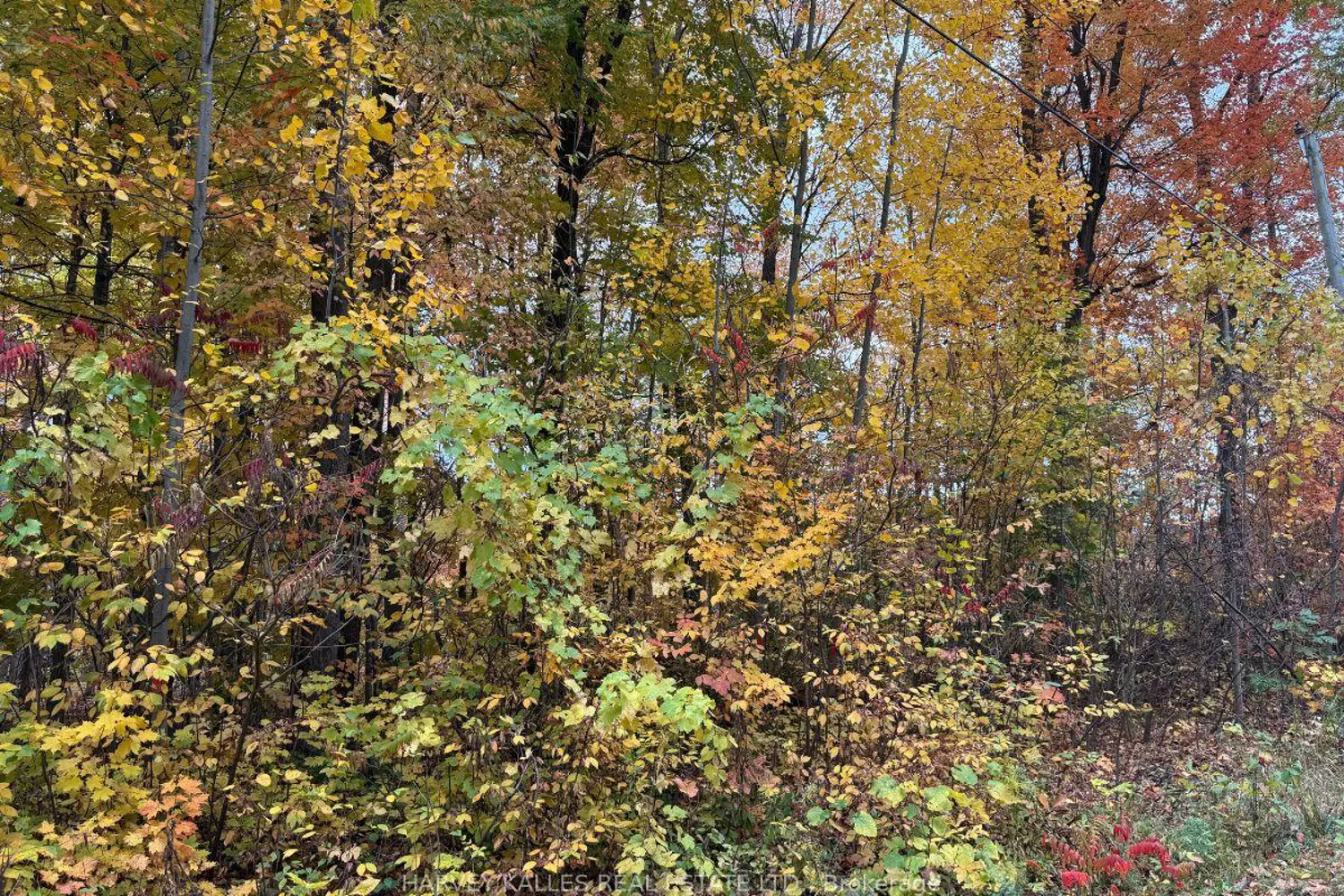 Additional image 6 of 0 Oakwood Lane