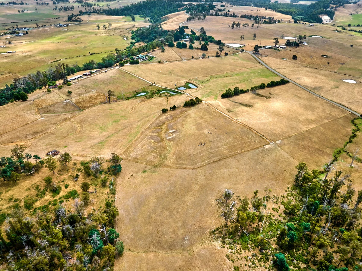 Additional image 16 of 110a Paling Track, Bangor TAS 7267