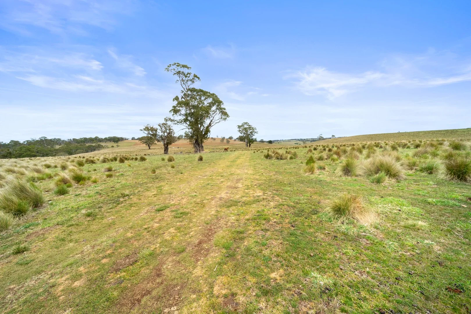 Additional image 7 of 148 Ferndale Road, Coolumbooka NSW 2632