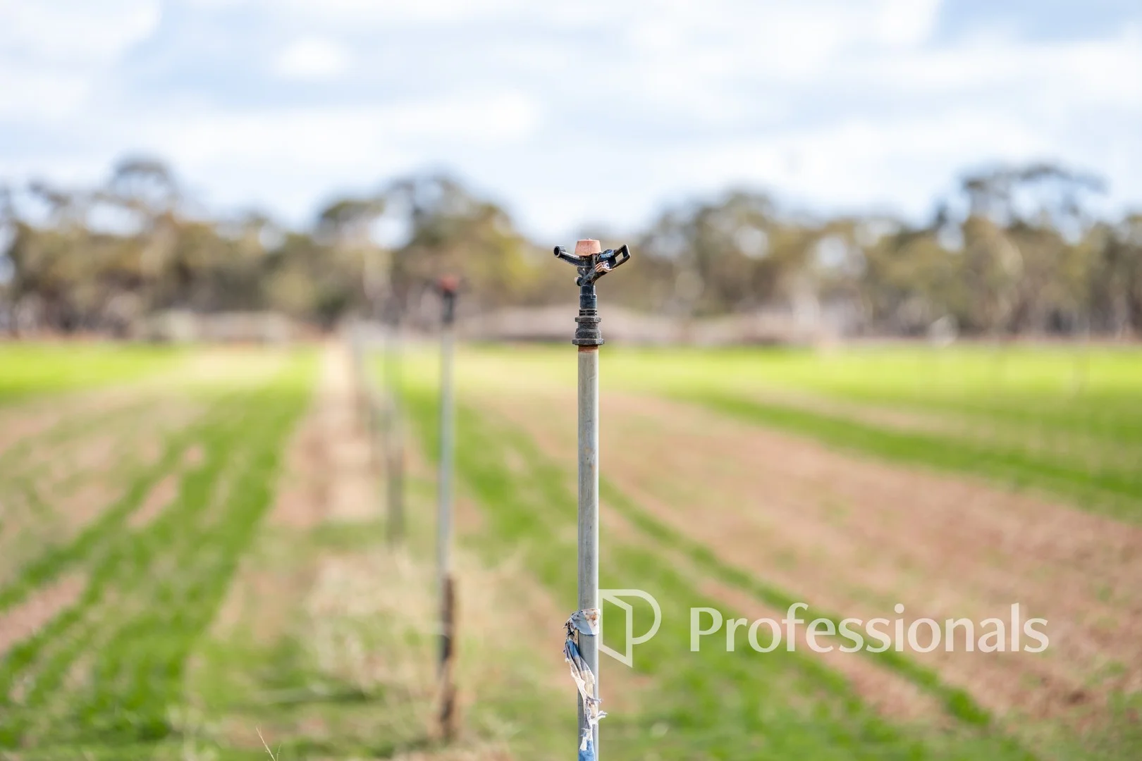 Cnr Norman Road, Merbein West VIC 3505