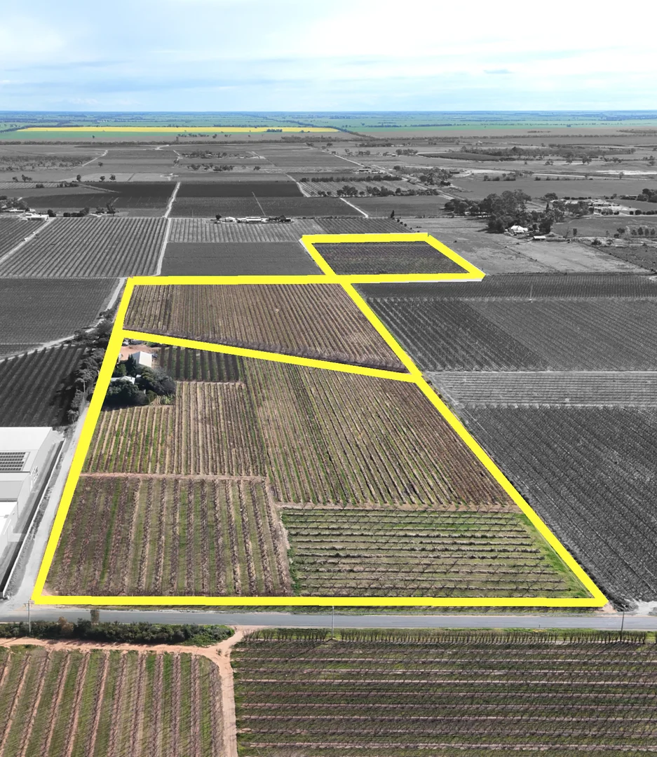 Additional image 2 of 419 North South Road, Woorinen North VIC 3589