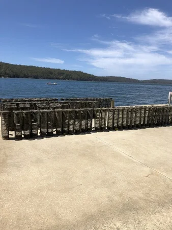 Additional image 5 of Tongue Road, Hastings TAS 7109