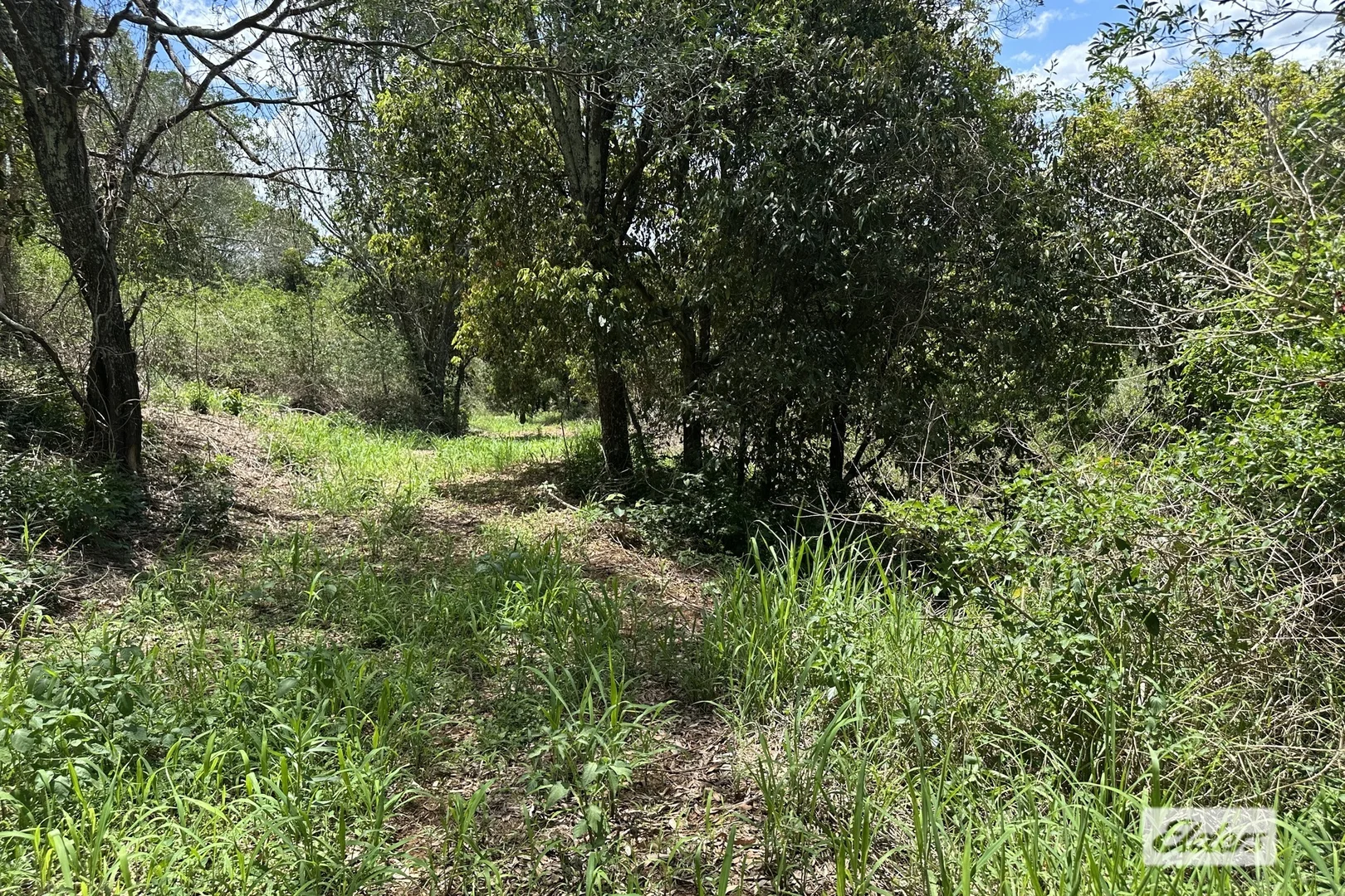 Additional image 23 of 146 Axelsen Drive, Villeneuve QLD 4514